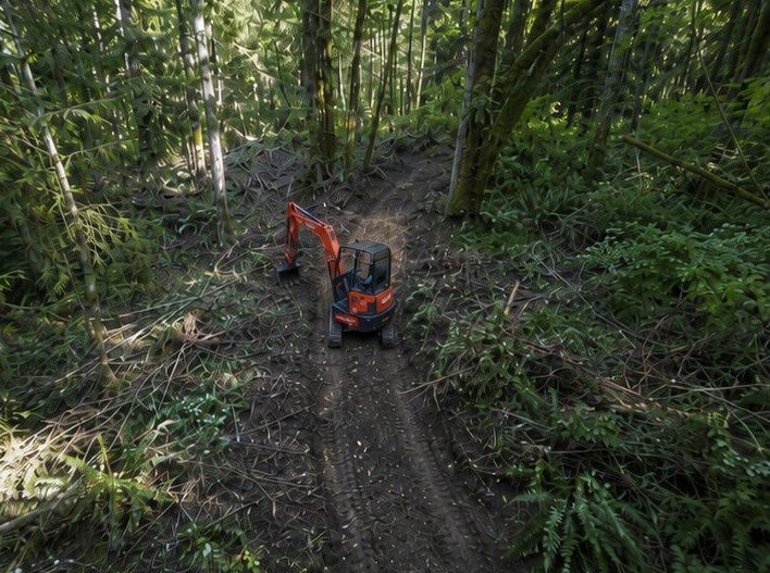Cleared access trail cut through the timber with excavator working