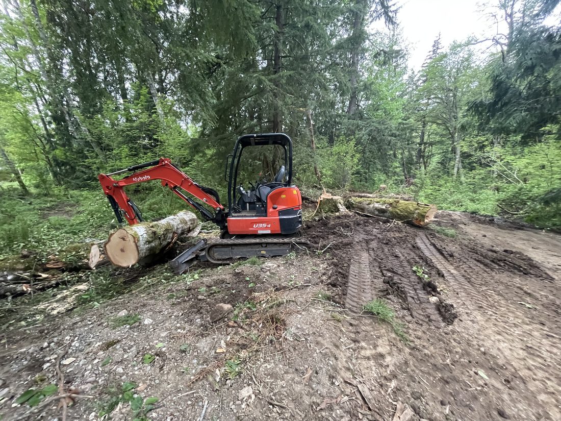 Mini excavator clearing logs and brush